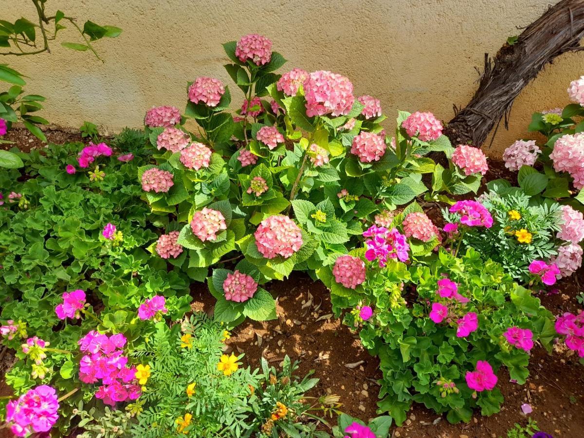 Apartmani Sekana Starigrad Paklenica Luaran gambar