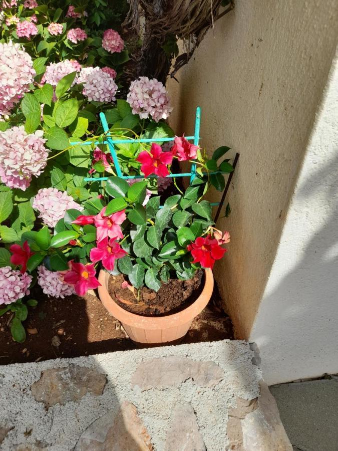 Apartmani Sekana Starigrad Paklenica Luaran gambar